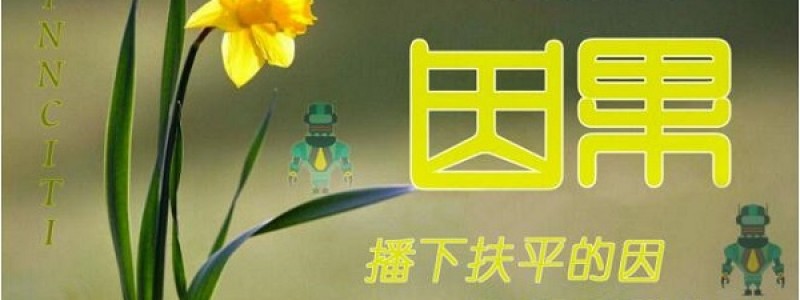 03、扶平初心